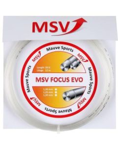 MSV Focus EVO