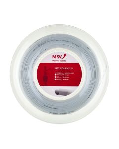 MSV Co.-Focus wit